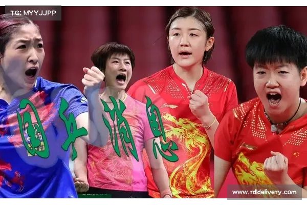 丁宁与刘诗雯:世界级女子乒乓大战 丁宁与刘诗雯:世界级女子乒乓大战